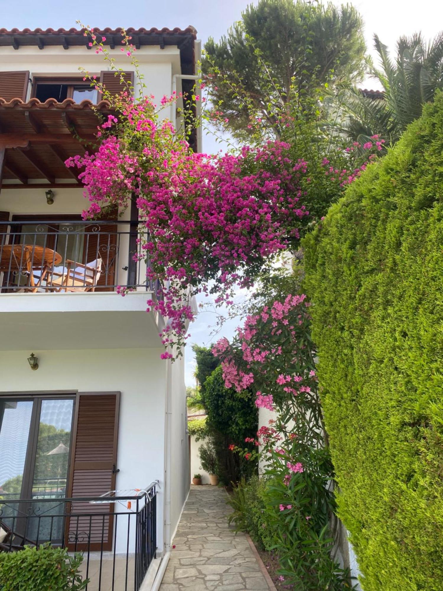 Villa Xanthippi Ayía Paraskeví Exterior foto